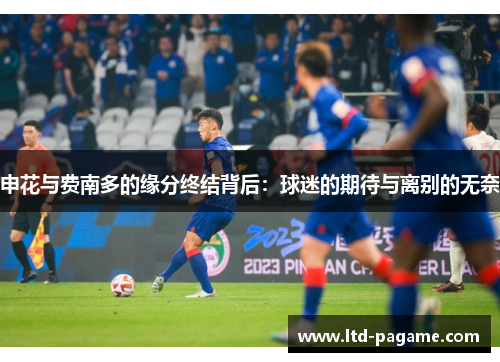 申花与费南多的缘分终结背后：球迷的期待与离别的无奈