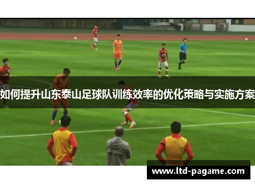 如何提升山东泰山足球队训练效率的优化策略与实施方案