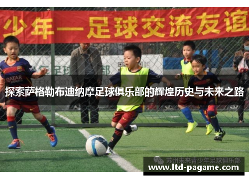 探索萨格勒布迪纳摩足球俱乐部的辉煌历史与未来之路
