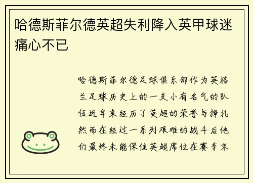 哈德斯菲尔德英超失利降入英甲球迷痛心不已 哈德斯菲尔德英超失利降入英甲球迷痛心不已